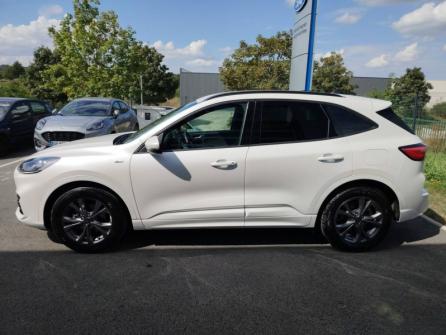 FORD Kuga 2.5 Duratec 190ch FHEV ST-Line X BVA à vendre à Dole - Image n°8