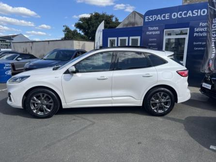 FORD Kuga 2.5 Duratec 225ch PHEV ST-Line BVA à vendre à Orléans - Image n°8