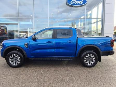 FORD Ranger 2.3 EcoBoost GTDi 281ch Stop&Start Double Cabine Wildtrak 4x4 BVA10 à vendre à Oyonnax - Image n°8